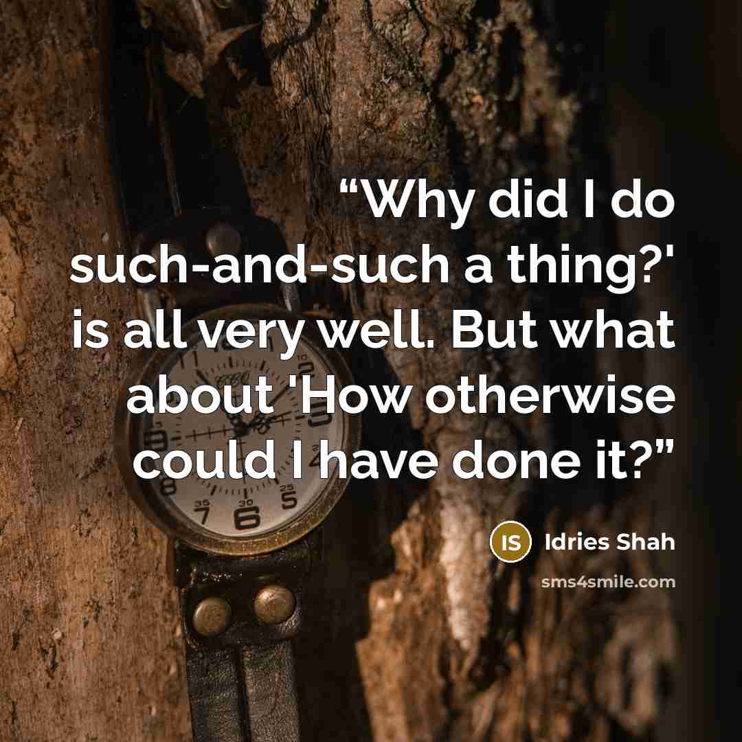 “Why did I do such-and-such a thing?' is all very well. But what about 'How otherwise could I have done it?” quote by Idries Shah