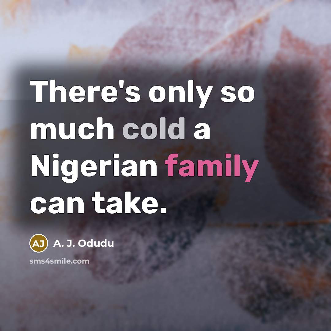 “There's only so much cold a Nigerian family can take.” quote by A. J. Odudu