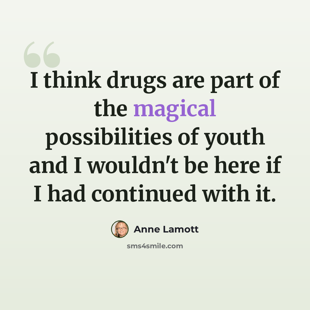 “I think drugs are part of the magical possibilities of youth and I wouldn't be here if I had continued with it.” quote by Anne Lamott