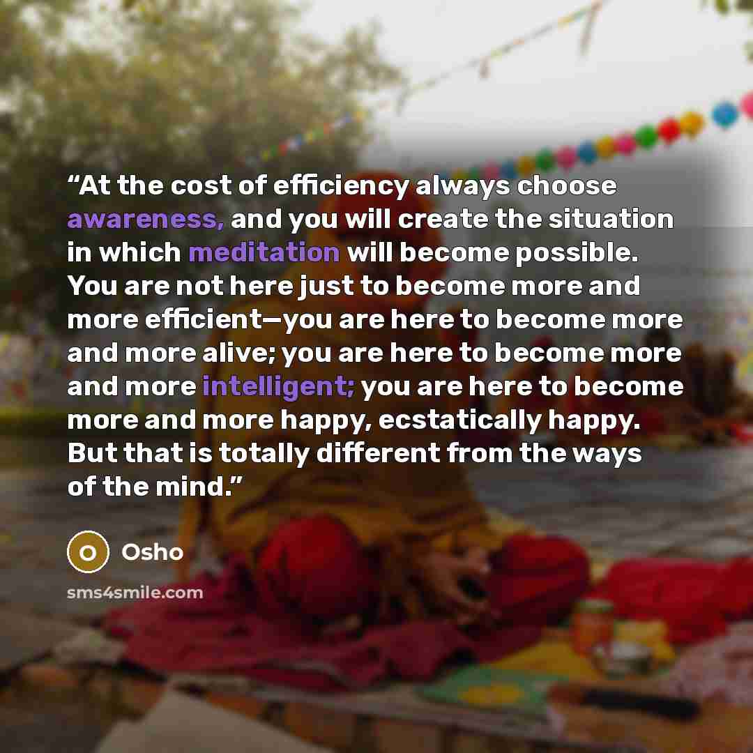 “At the cost of efficiency always choose awareness, and you will create the situation in which meditation will become possible. You are not here just to become more and more efficient—you are here to become more and more alive; you are here to become more and more intelligent; you are here to…” quote by Osho