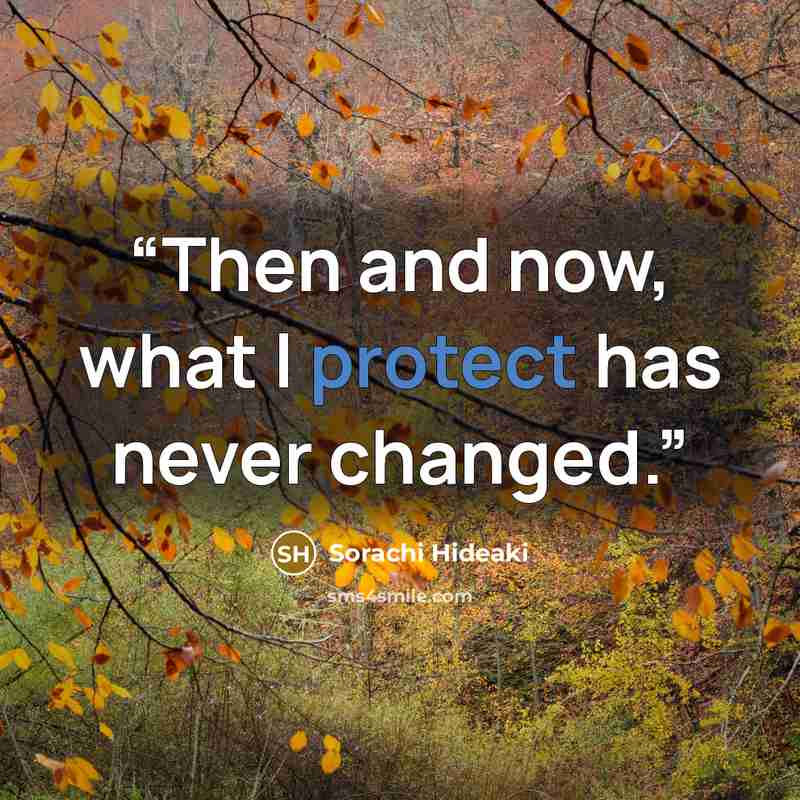 “Then and now, what I protect has never changed.” quote by Sorachi Hideaki