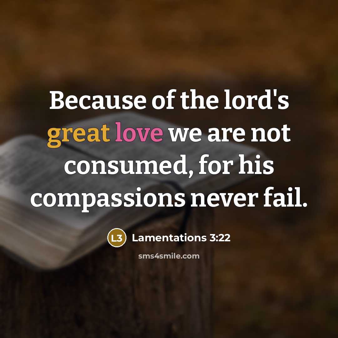 “Because of the lord's great love we are not consumed, for his compassions never fail.” quote by Lamentations 3:22