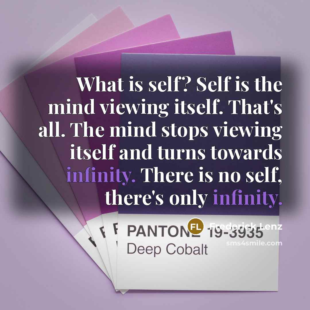 “What is self? Self is the mind viewing itself. That's all. The mind stops viewing itself and turns towards infinity. There is no self, there's only infinity.” quote by Frederick Lenz