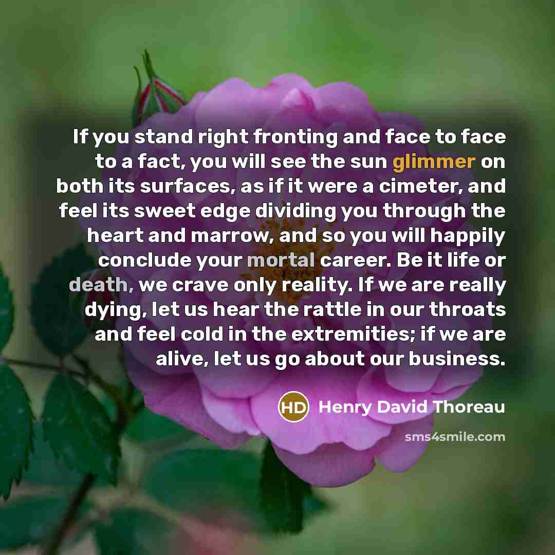 “If you stand right fronting and face to face to a fact, you will see the sun glimmer on both its surfaces, as if it were a cimeter, and feel its sweet edge dividing you through the heart and marrow, and so you will happily conclude your mortal career. Be it life or death, we crave only reality. If…” quote by Henry David Thoreau