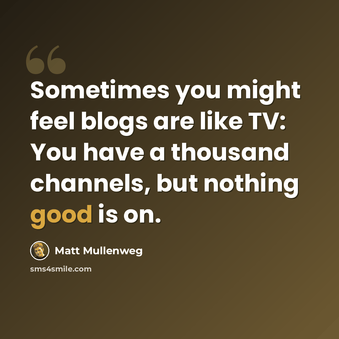 “Sometimes you might feel blogs are like TV: You have a thousand channels, but nothing good is on.” quote by Matt Mullenweg