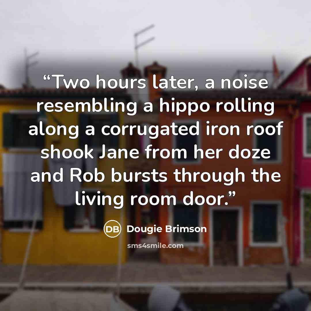 “Two hours later, a noise resembling a hippo rolling along a corrugated iron roof shook Jane from her doze and Rob bursts through the living room door.” quote by Dougie Brimson