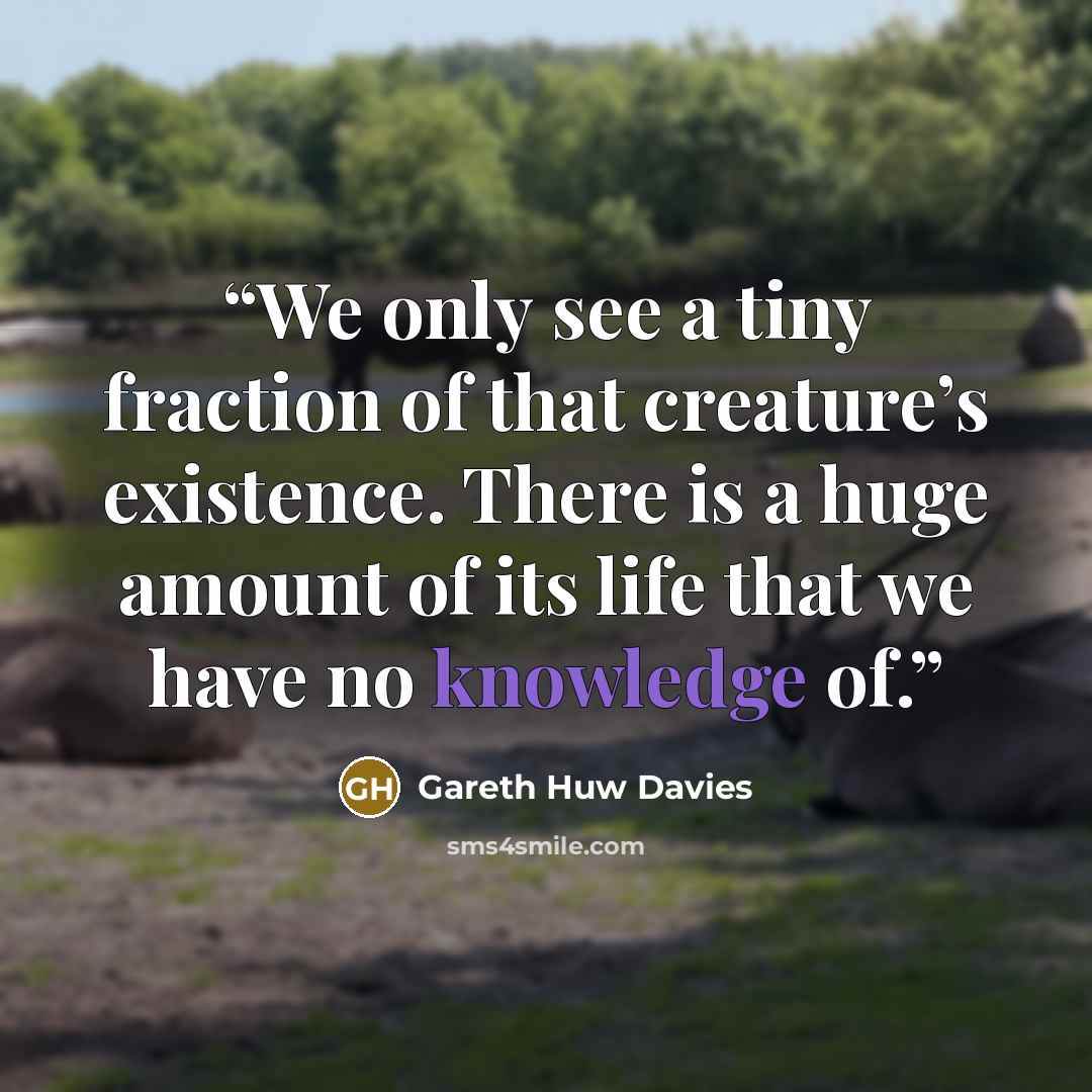 “We only see a tiny fraction of that creature’s existence. There is a huge amount of its life that we have no knowledge of.” quote by Gareth Huw Davies