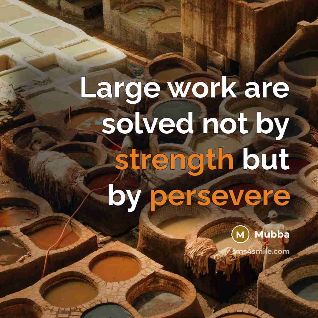 “Large work are solved not by strength but by persevere” quote by Mubba