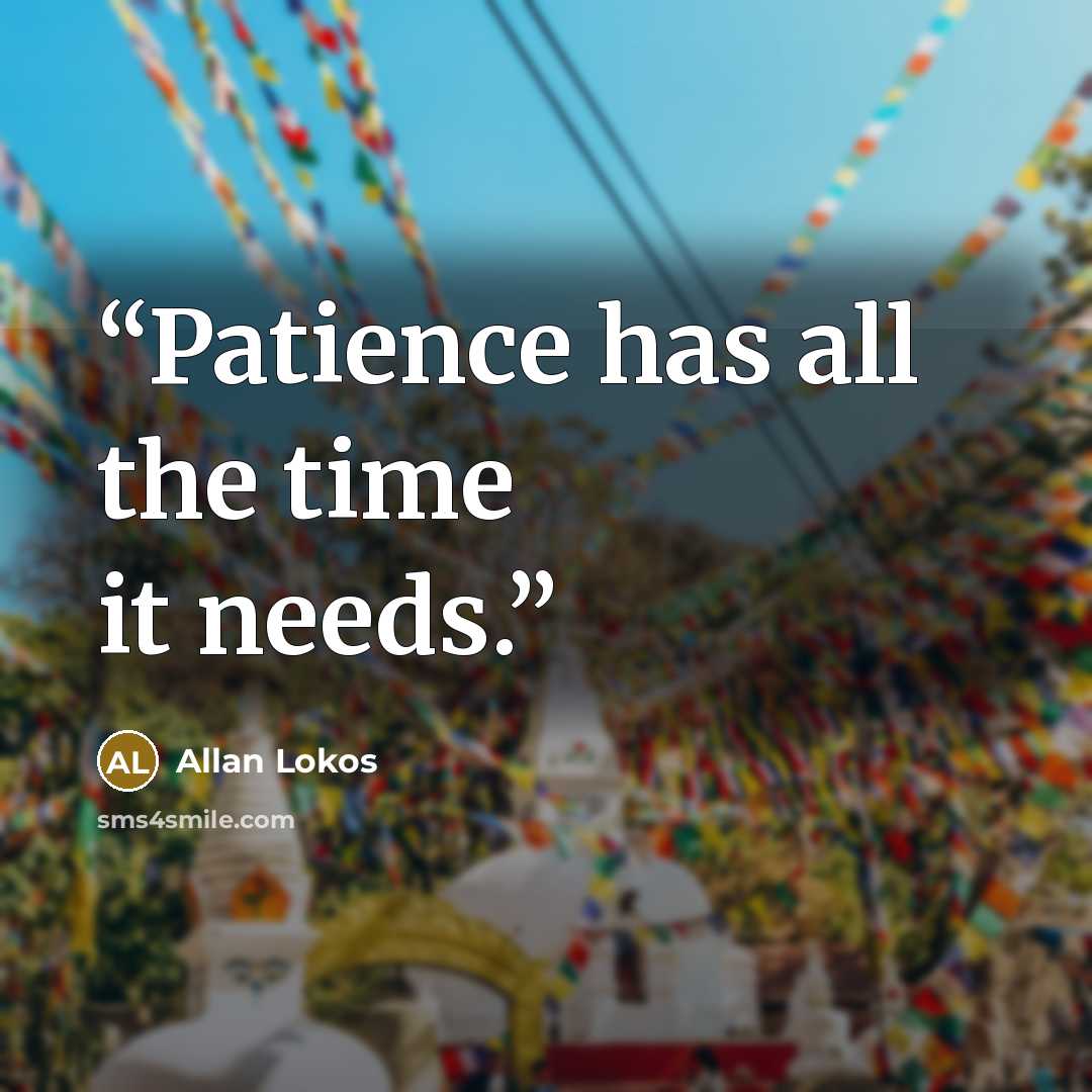“Patience has all the time it needs.” quote by Allan Lokos