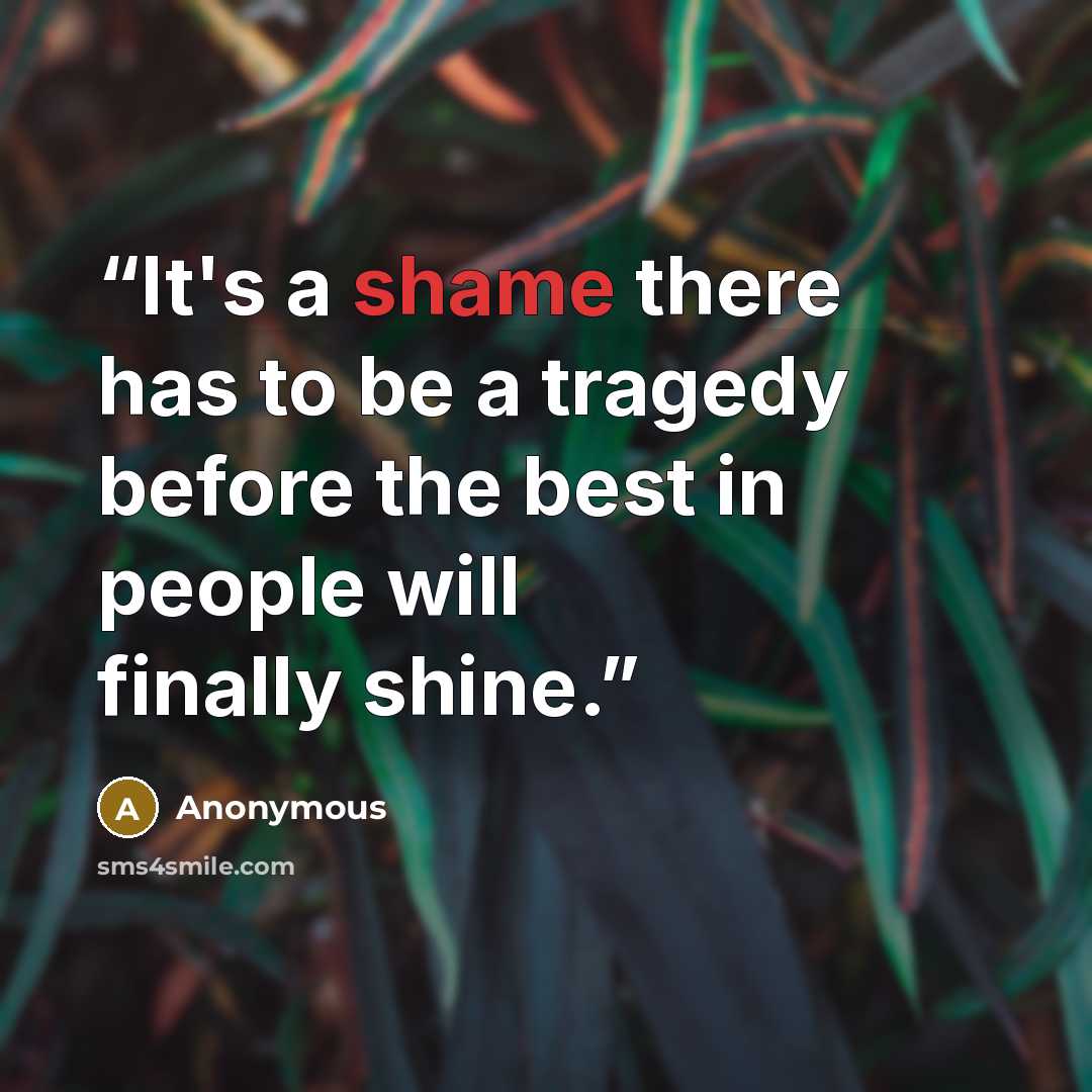 “It's a shame there has to be a tragedy before the best in people will finally shine.” quote by Anonymous