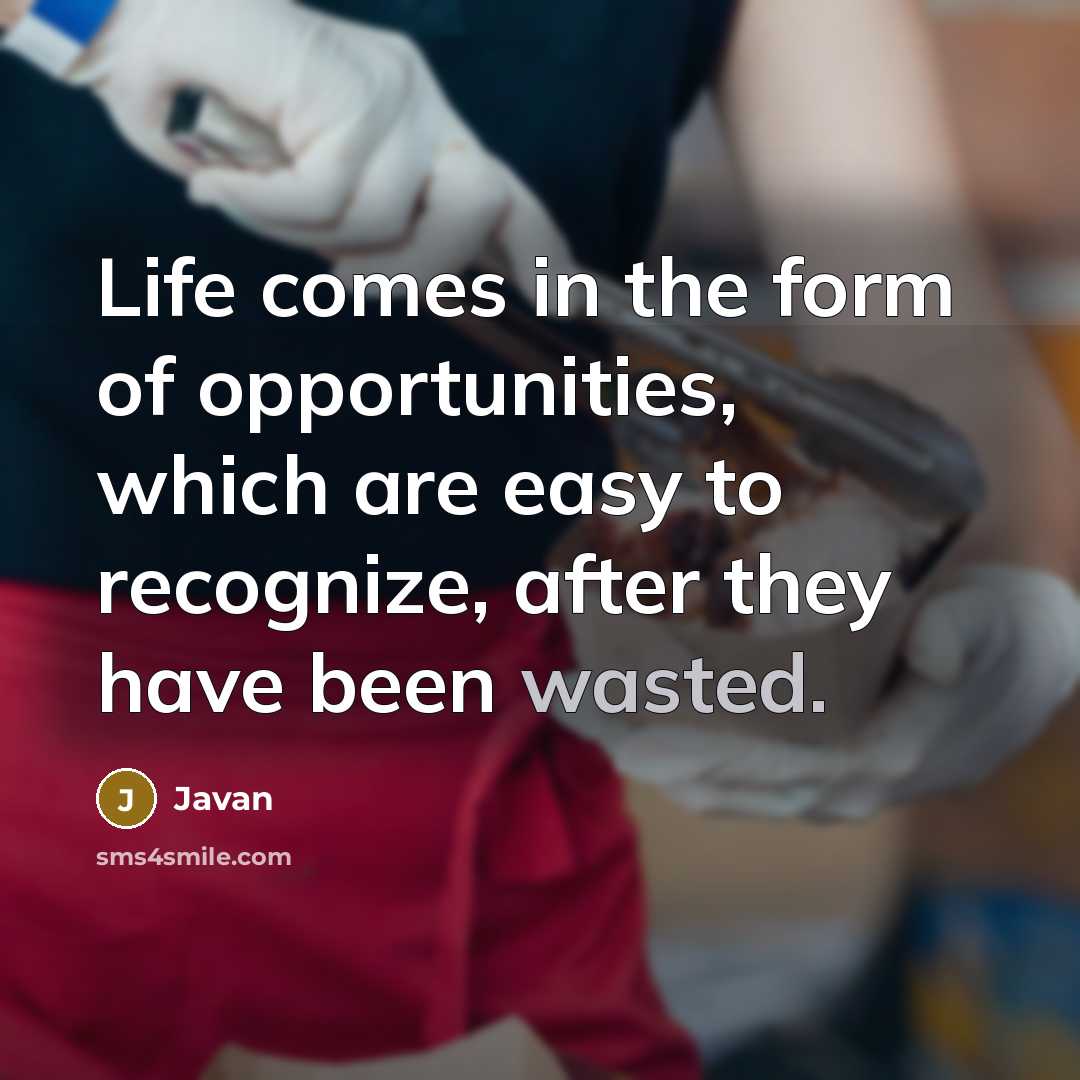 “Life comes in the form of opportunities, which are easy to recognize, after they have been wasted.” quote by Javan