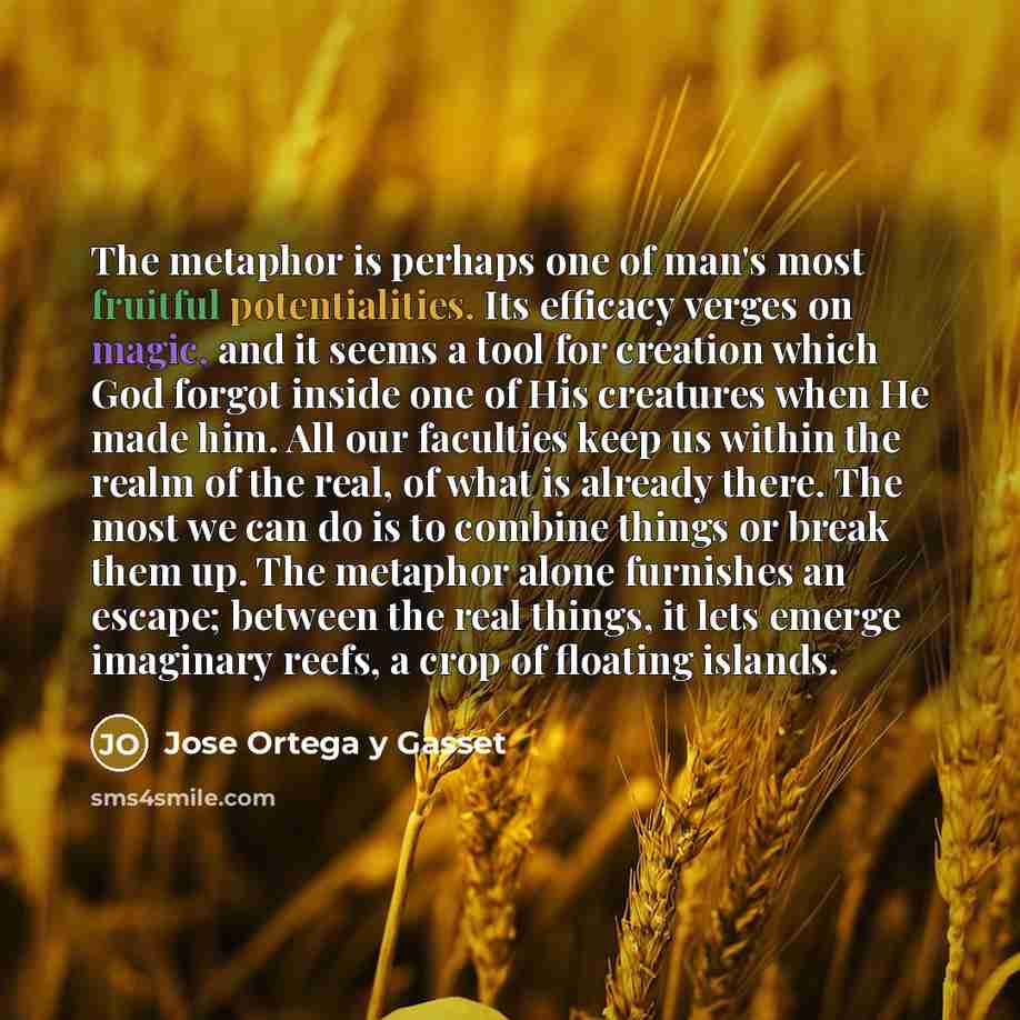 “The metaphor is perhaps one of man's most fruitful potentialities. Its efficacy verges on magic, and it seems a tool for creation which God forgot inside one of His creatures when He made him. All our faculties keep us within the realm of the real, of what is already there. The most we can do is…” quote by Jose Ortega y Gasset