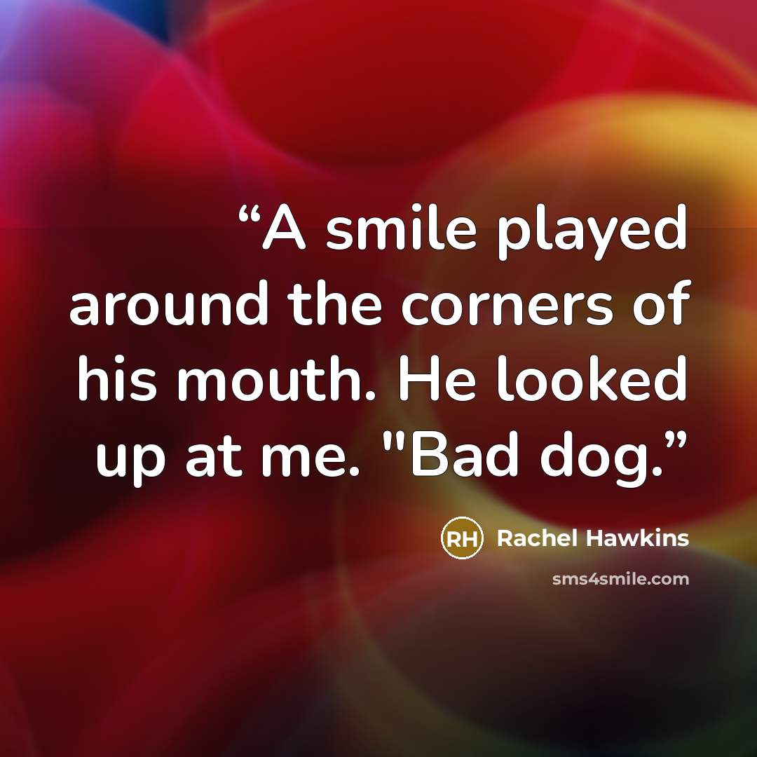 “A smile played around the corners of his mouth. He looked up at me. "Bad dog.” quote by Rachel Hawkins