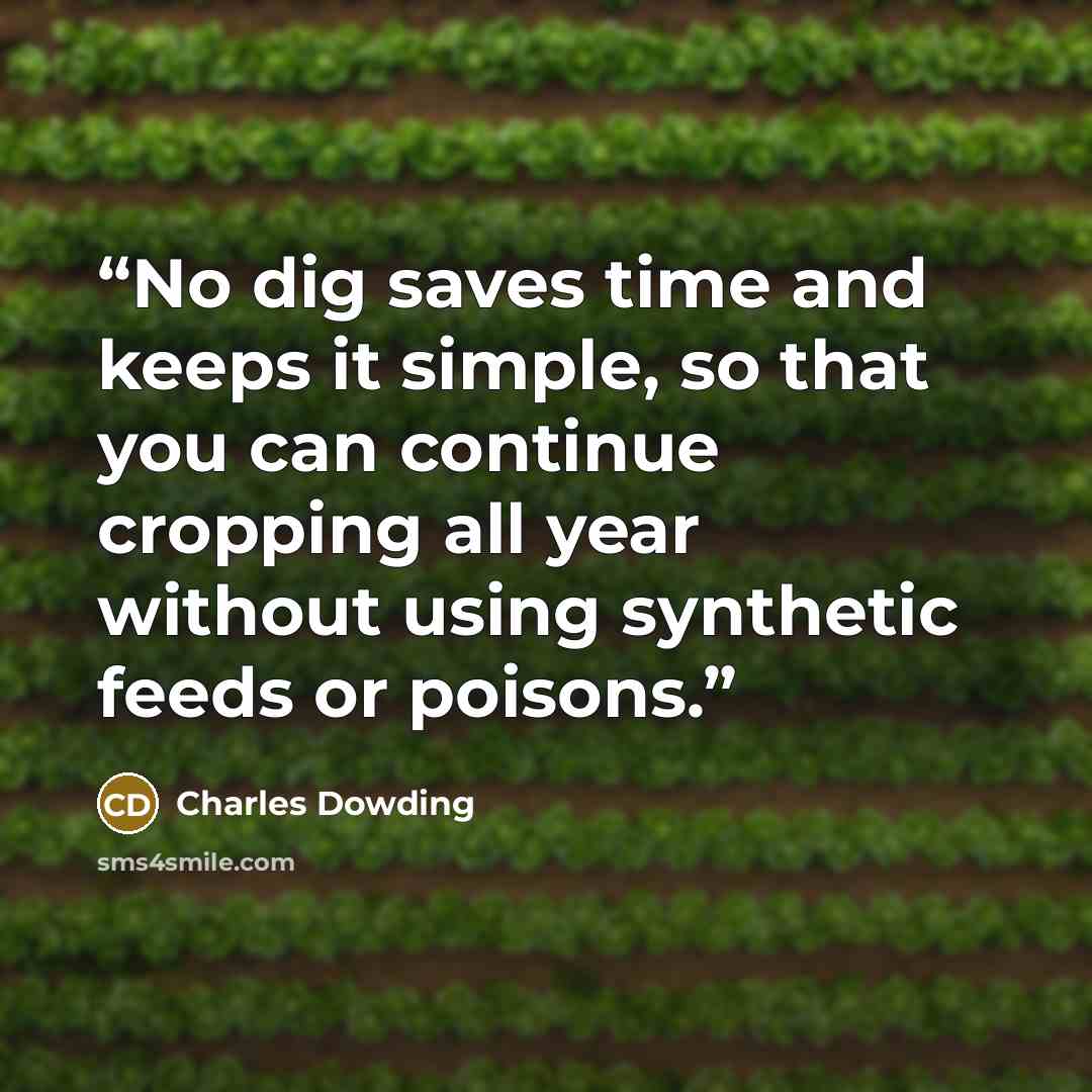 “No dig saves time and keeps it simple, so that you can continue cropping all year without using synthetic feeds or poisons.” quote by Charles Dowding