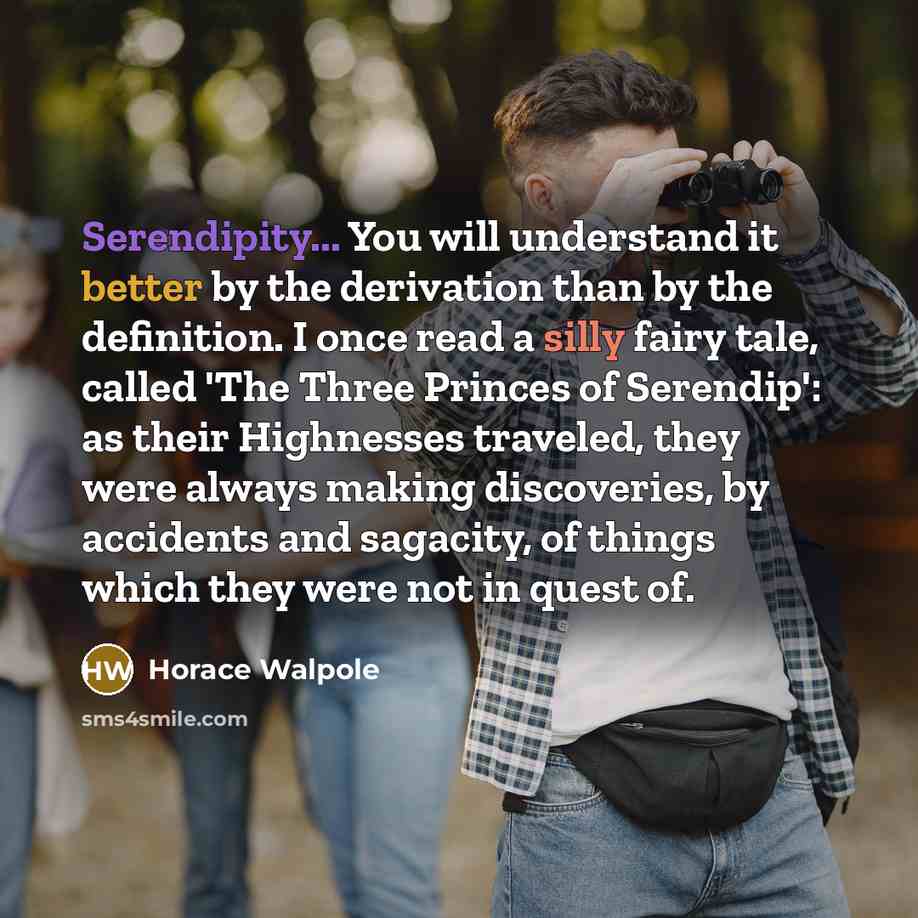 “Serendipity... You will understand it better by the derivation than by the definition. I once read a silly fairy tale, called 'The Three Princes of Serendip': as their Highnesses traveled, they were always making discoveries, by accidents and sagacity, of things which they were not in quest of.” quote by Horace Walpole