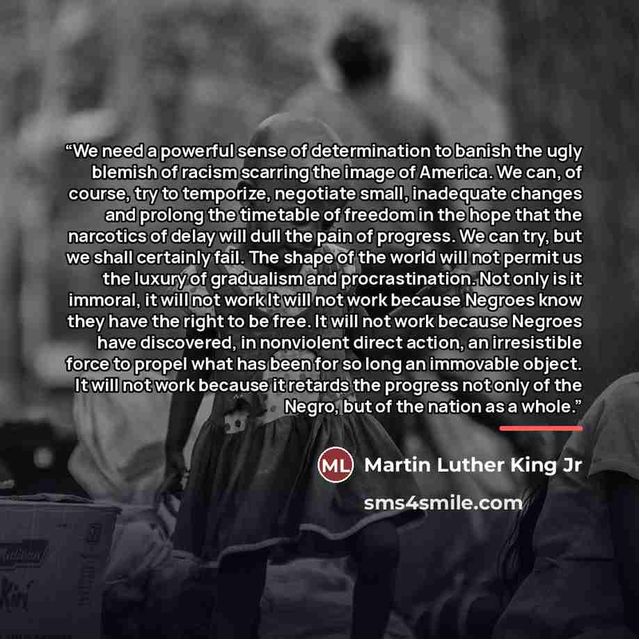“We need a powerful sense of determination to banish the ugly blemish of racism scarring the image of America. We can, of course, try to temporize, negotiate small, inadequate changes and prolong the timetable of freedom in the hope that the narcotics of delay will dull the pain of progress. We can…” quote by Martin Luther King Jr