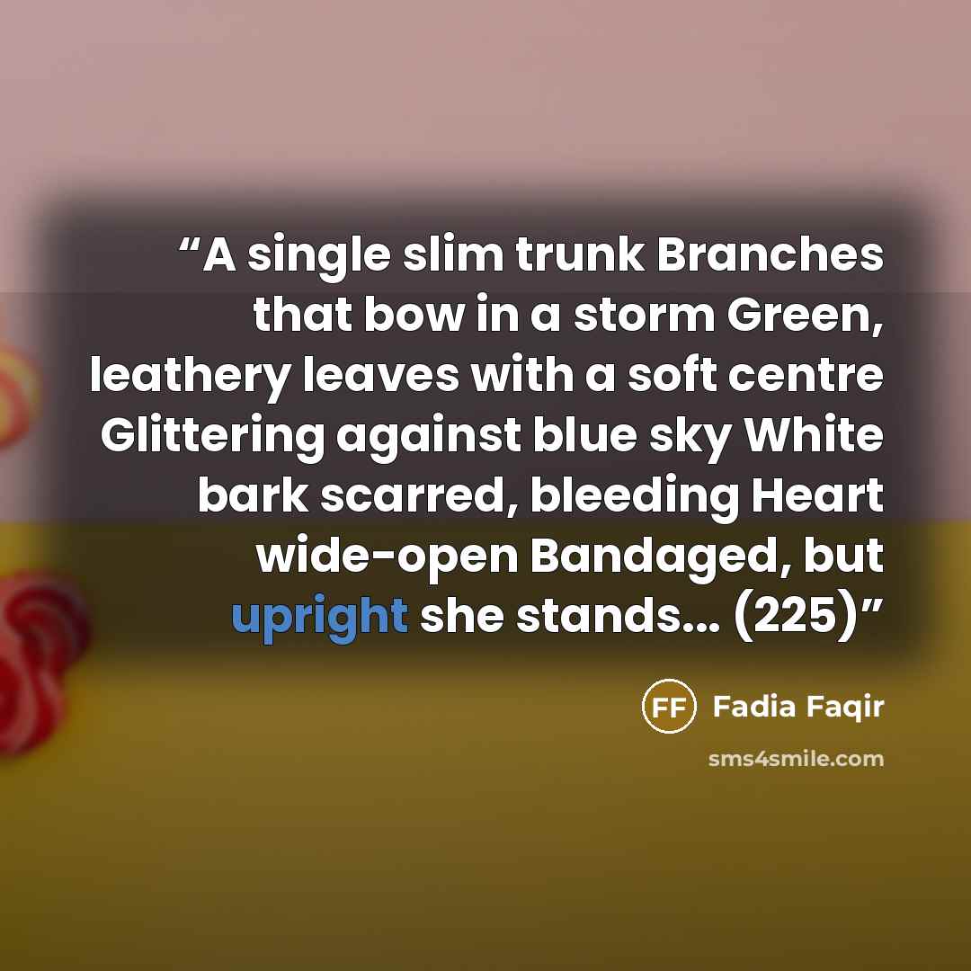 “A single slim trunk Branches that bow in a storm Green, leathery leaves with a soft centre Glittering against blue sky White bark scarred, bleeding Heart wide-open Bandaged, but upright she stands... (225)” quote by Fadia Faqir