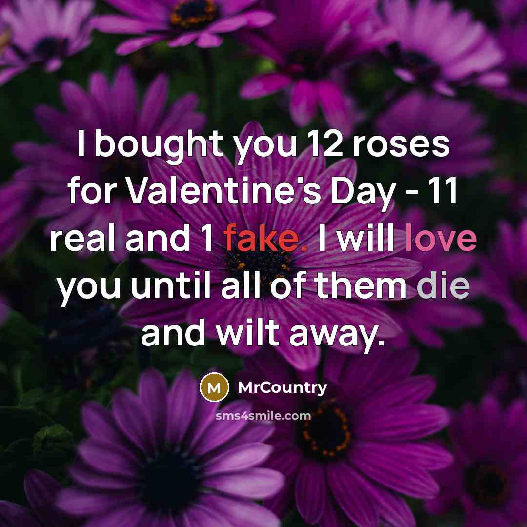 “I bought you 12 roses for Valentine's Day - 11 real and 1 fake. I will love you until all of them die and wilt away.” quote by MrCountry