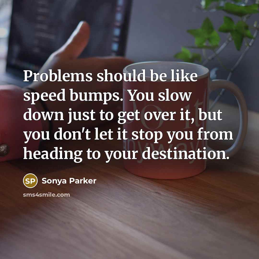 “Problems should be like speed bumps. You slow down just to get over it, but you don't let it stop you from heading to your destination.” quote by Sonya Parker