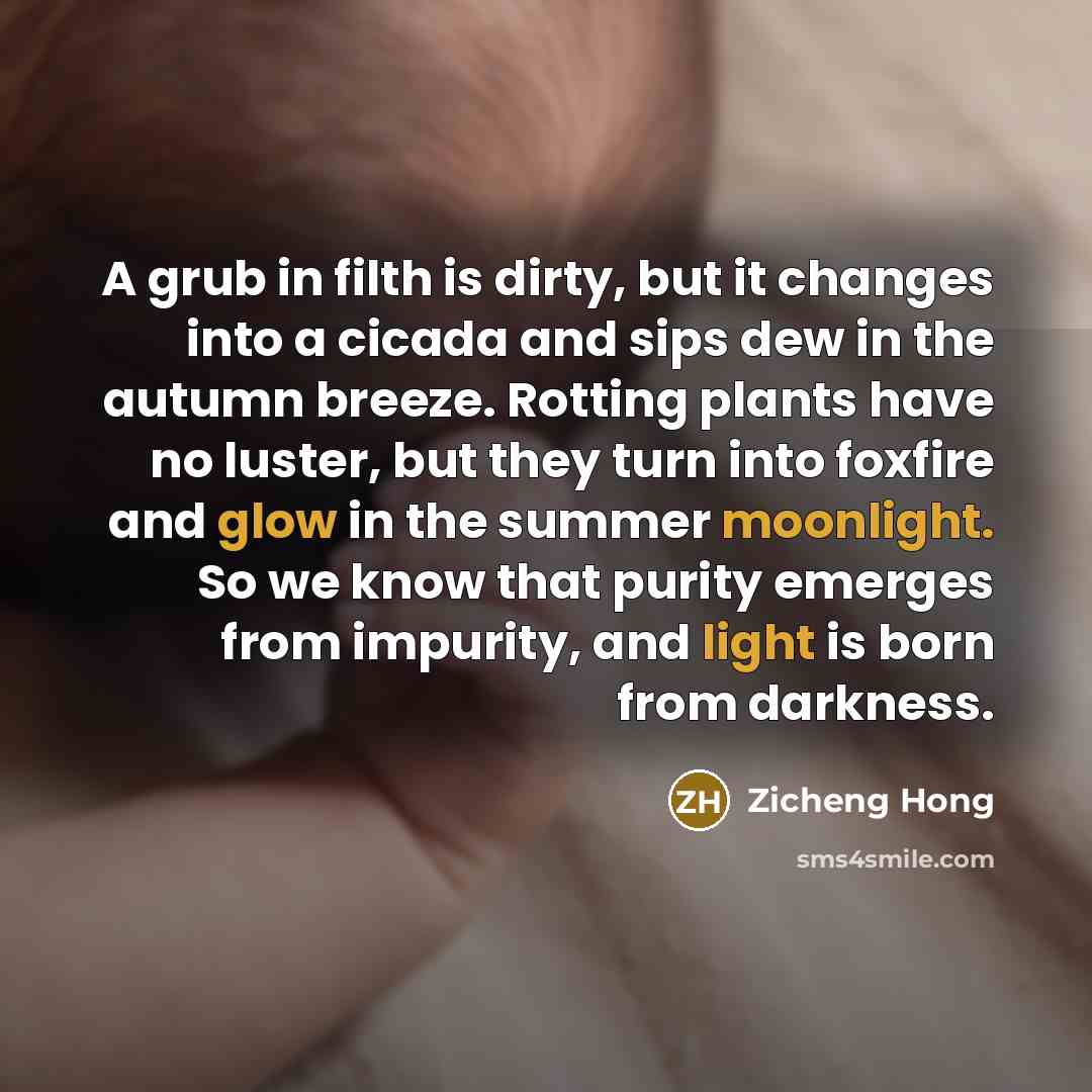 “A grub in filth is dirty, but it changes into a cicada and sips dew in the autumn breeze. Rotting plants have no luster, but they turn into foxfire and glow in the summer moonlight. So we know that purity emerges from impurity, and light is born from darkness.” quote by Zicheng Hong