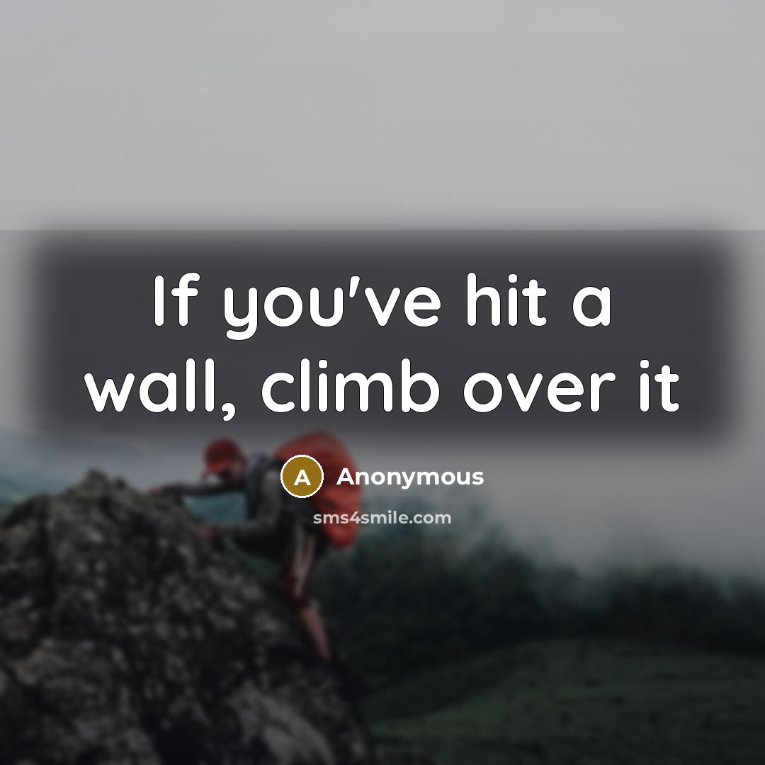 “If you've hit a wall, climb over it” quote by Anonymous