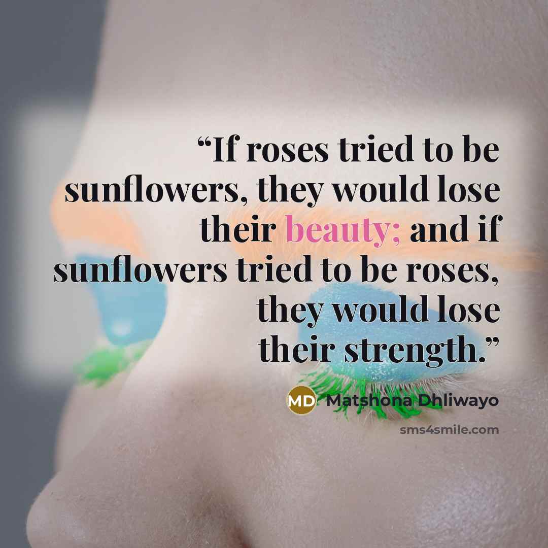 “If roses tried to be sunflowers, they would lose their beauty; and if sunflowers tried to be roses, they would lose their strength.” quote by Matshona Dhliwayo