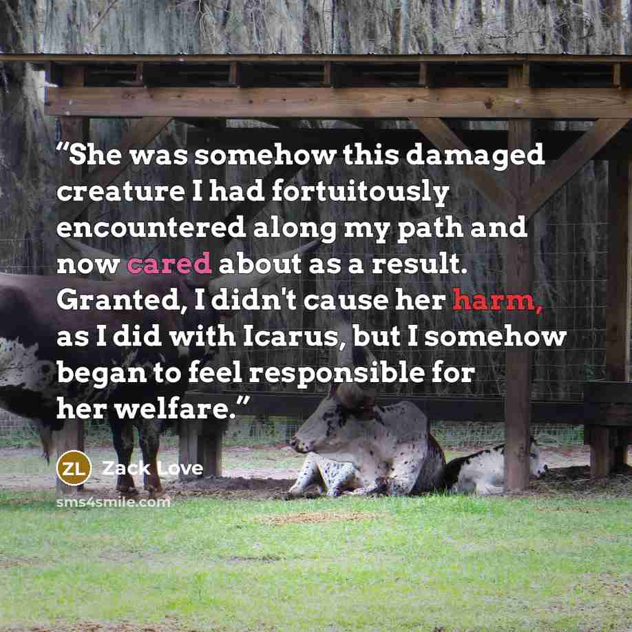 “She was somehow this damaged creature I had fortuitously encountered along my path and now cared about as a result. Granted, I didn't cause her harm, as I did with Icarus, but I somehow began to feel responsible for her welfare.” quote by Zack Love