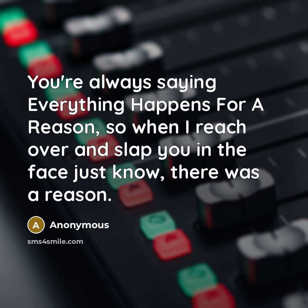 “You're always saying Everything Happens For A Reason, so when I reach over and slap you in the face just know, there was a reason.” quote by Anonymous