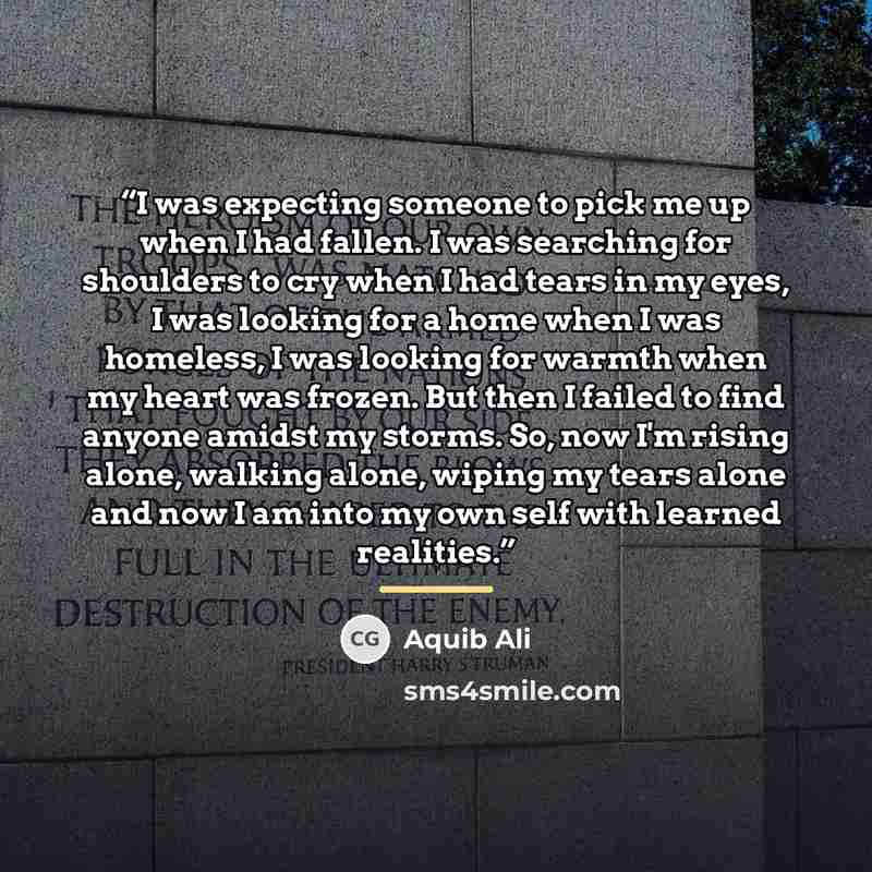 “I was expecting someone to pick me up when I had fallen. I was searching for shoulders to cry when I had tears in my eyes, I was looking for a home when I was homeless, I was looking for warmth when my heart was frozen. But then I failed to find anyone amidst my storms. So, now I'm rising alone…” quote by Aquib Ali