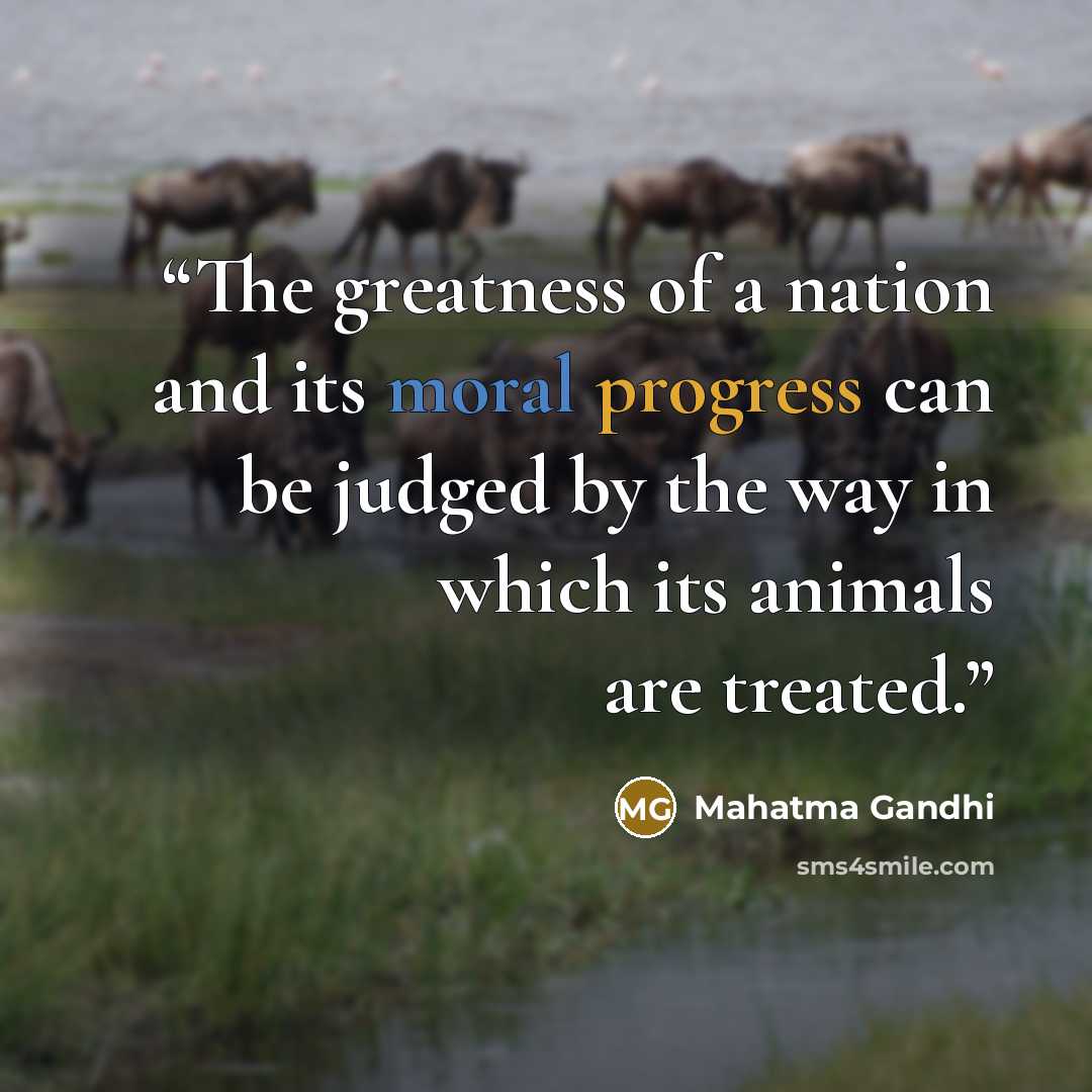 “The greatness of a nation and its moral progress can be judged by the way in which its animals are treated.” quote by Mahatma Gandhi
