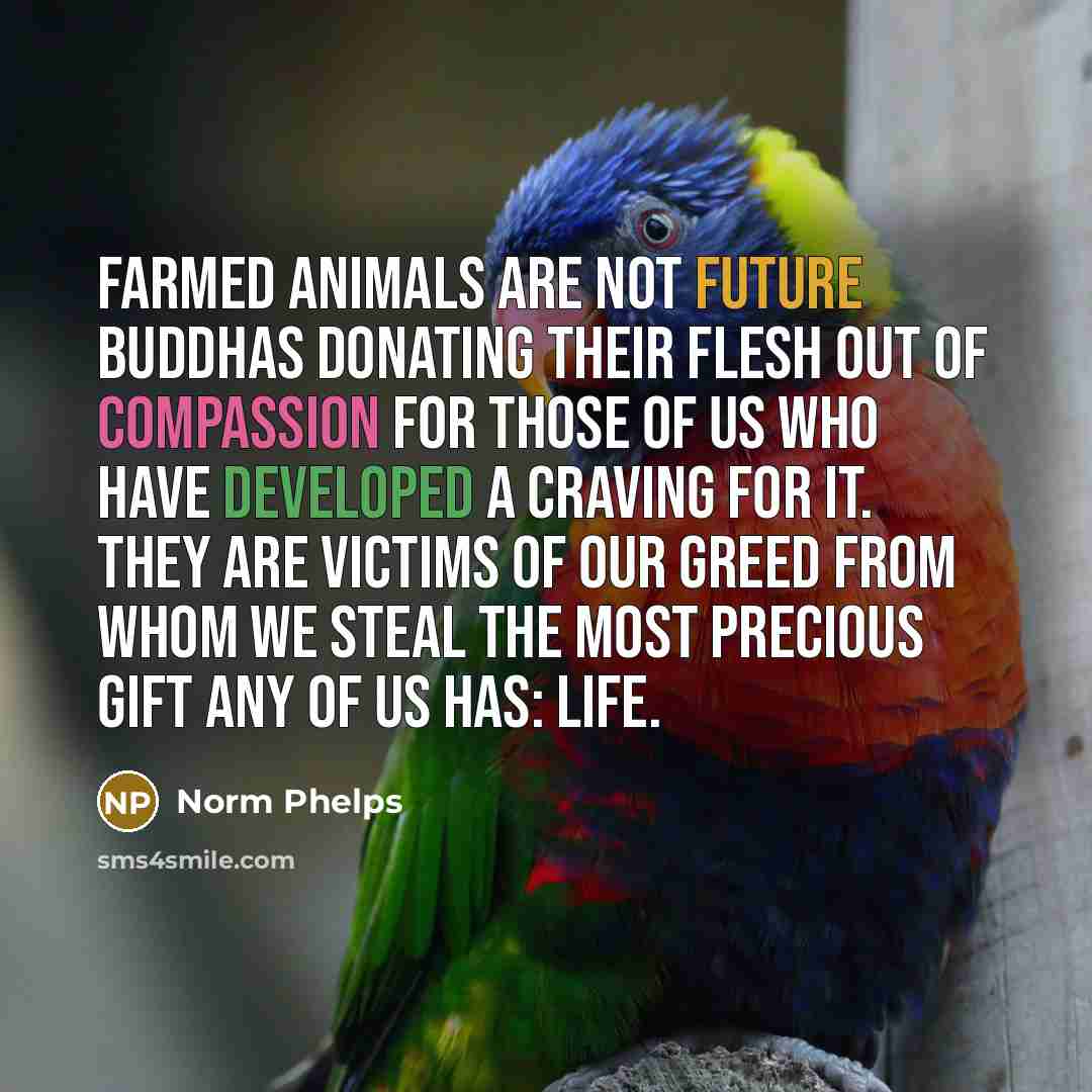 “Farmed animals are not future Buddhas donating their flesh out of compassion for those of us who have developed a craving for it. They are victims of our greed from whom we steal the most precious gift any of us has: life.” quote by Norm Phelps