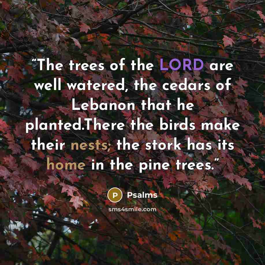 “The trees of the LORD are well watered, the cedars of Lebanon that he planted.There the birds make their nests; the stork has its home in the pine trees.” quote by Psalms