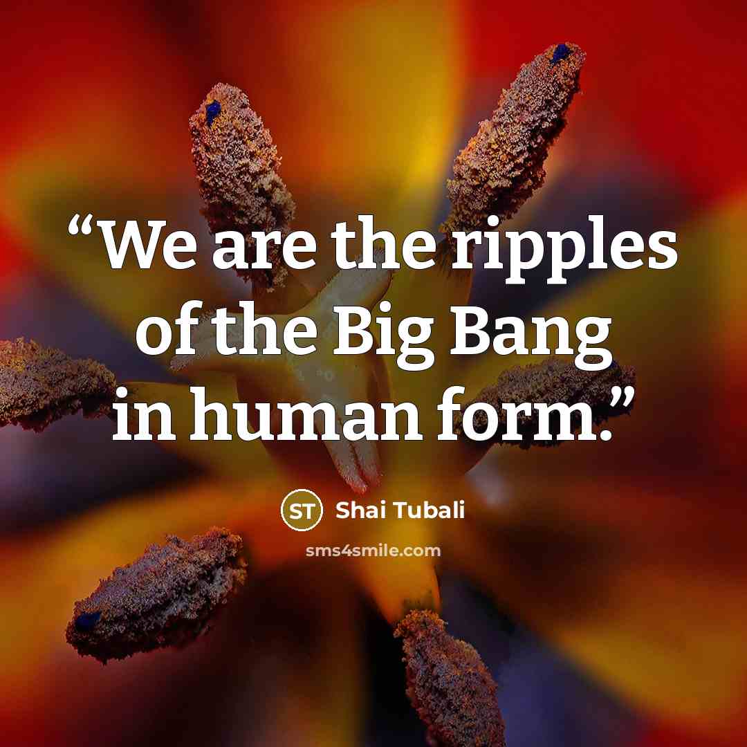 “We are the ripples of the Big Bang in human form.” quote by Shai Tubali
