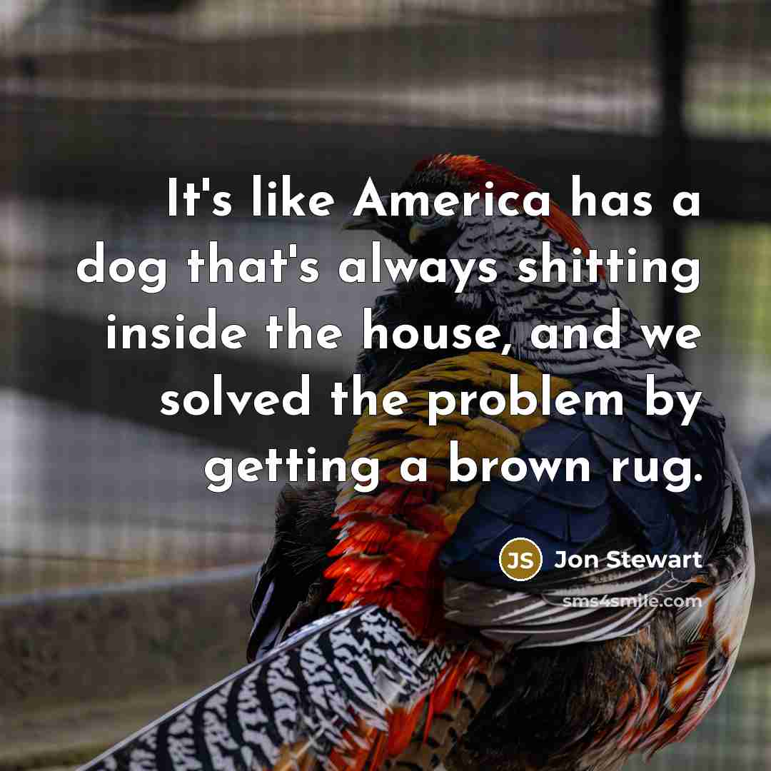“It's like America has a dog that's always shitting inside the house, and we solved the problem by getting a brown rug.” quote by Jon Stewart