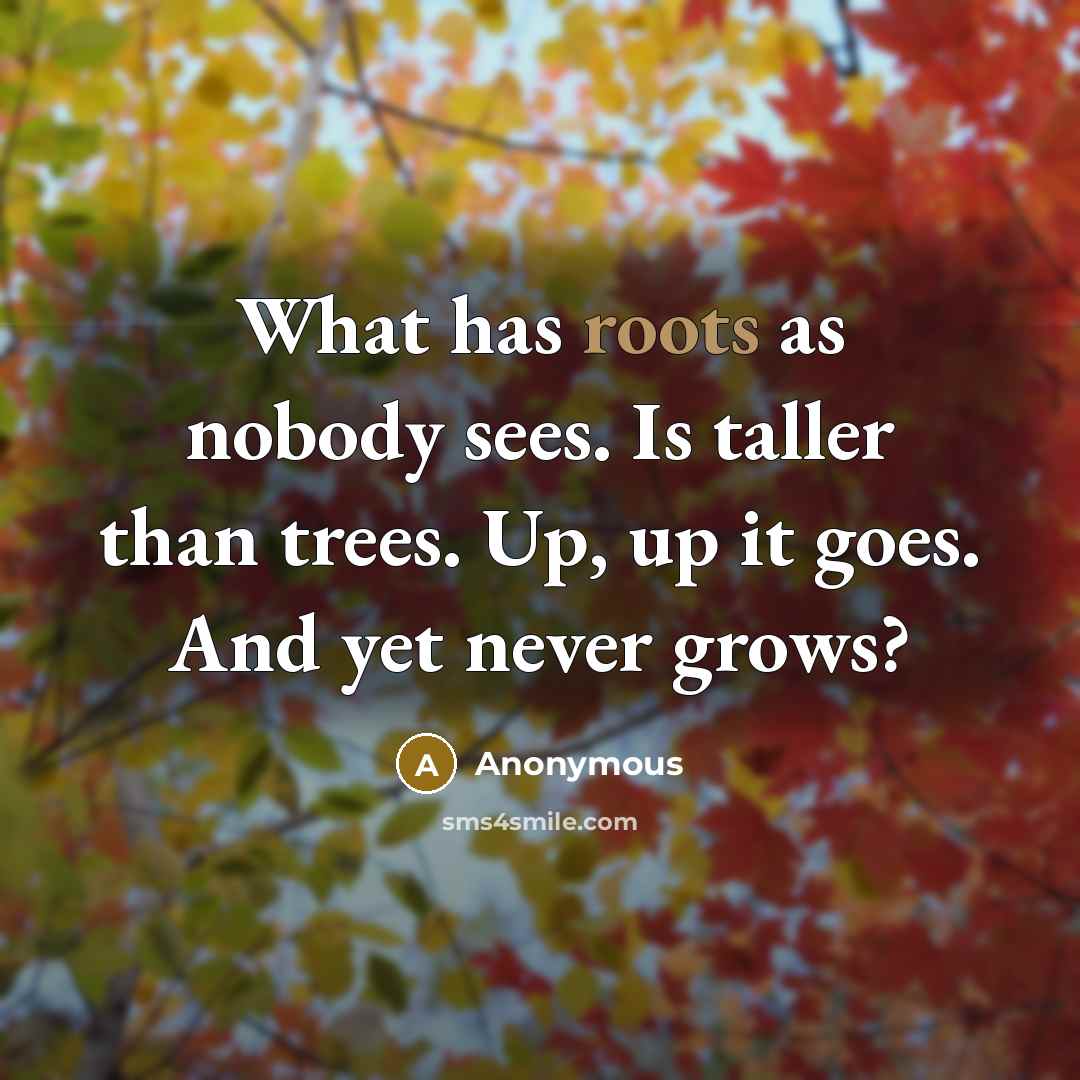 “What has roots as nobody sees. Is taller than trees. Up, up it goes. And yet never grows?” quote by Anonymous