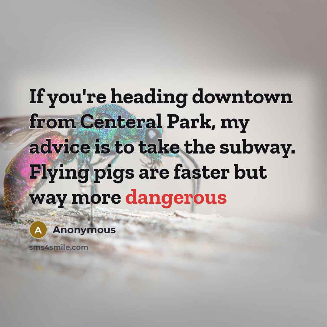“If you're heading downtown from Centeral Park, my advice is to take the subway. Flying pigs are faster but way more dangerous” quote by Anonymous