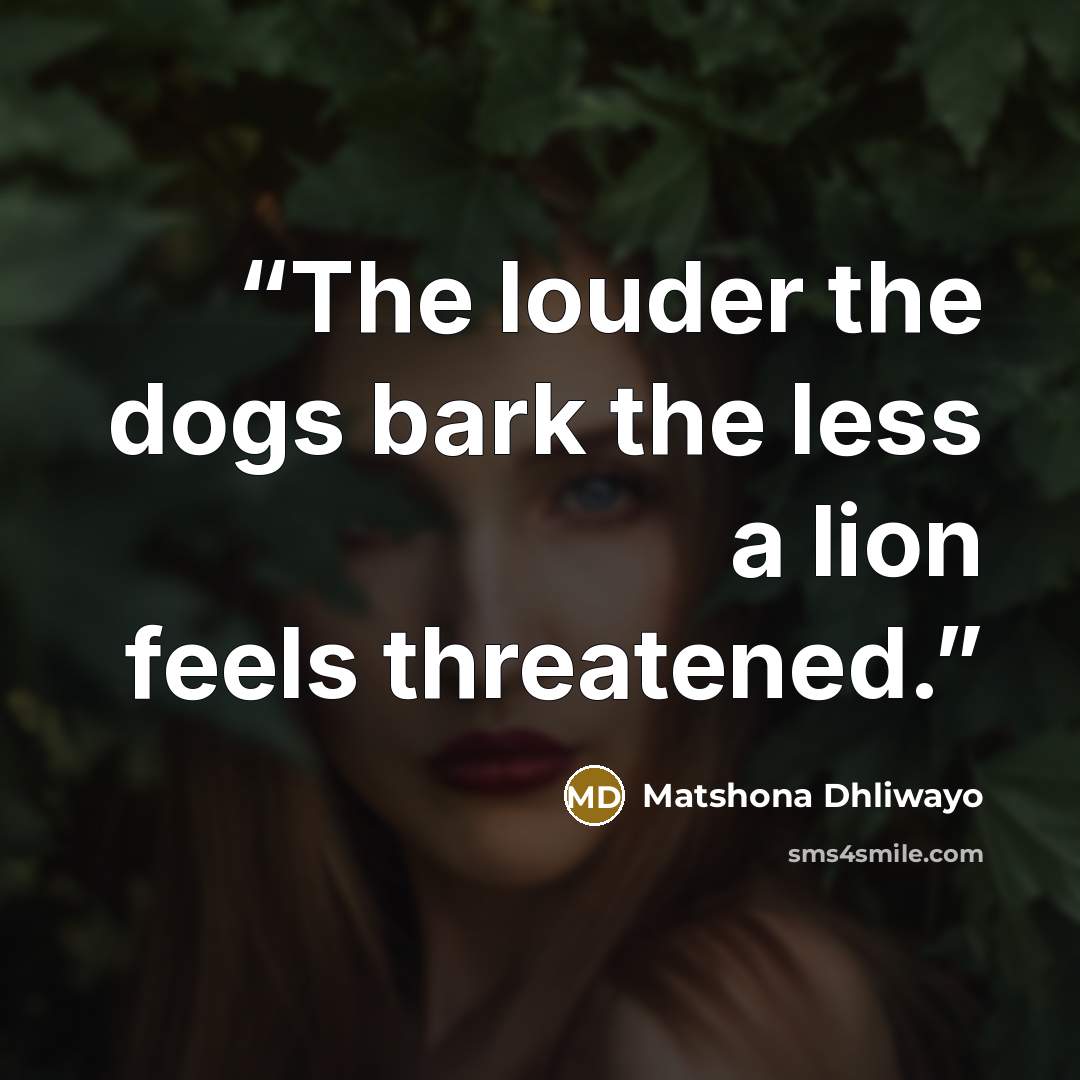 “The louder the dogs bark the less a lion feels threatened.” quote by Matshona Dhliwayo