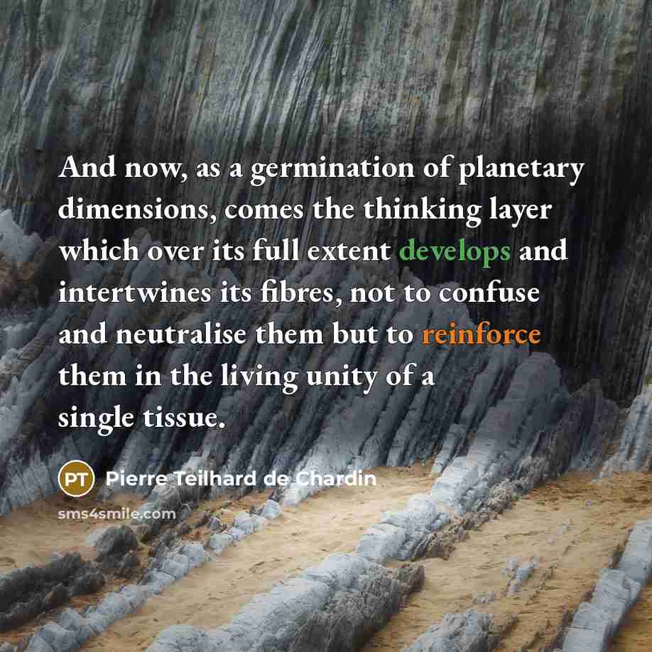 “And now, as a germination of planetary dimensions, comes the thinking layer which over its full extent develops and intertwines its fibres, not to confuse and neutralise them but to reinforce them in the living unity of a single tissue.” quote by Pierre Teilhard de Chardin