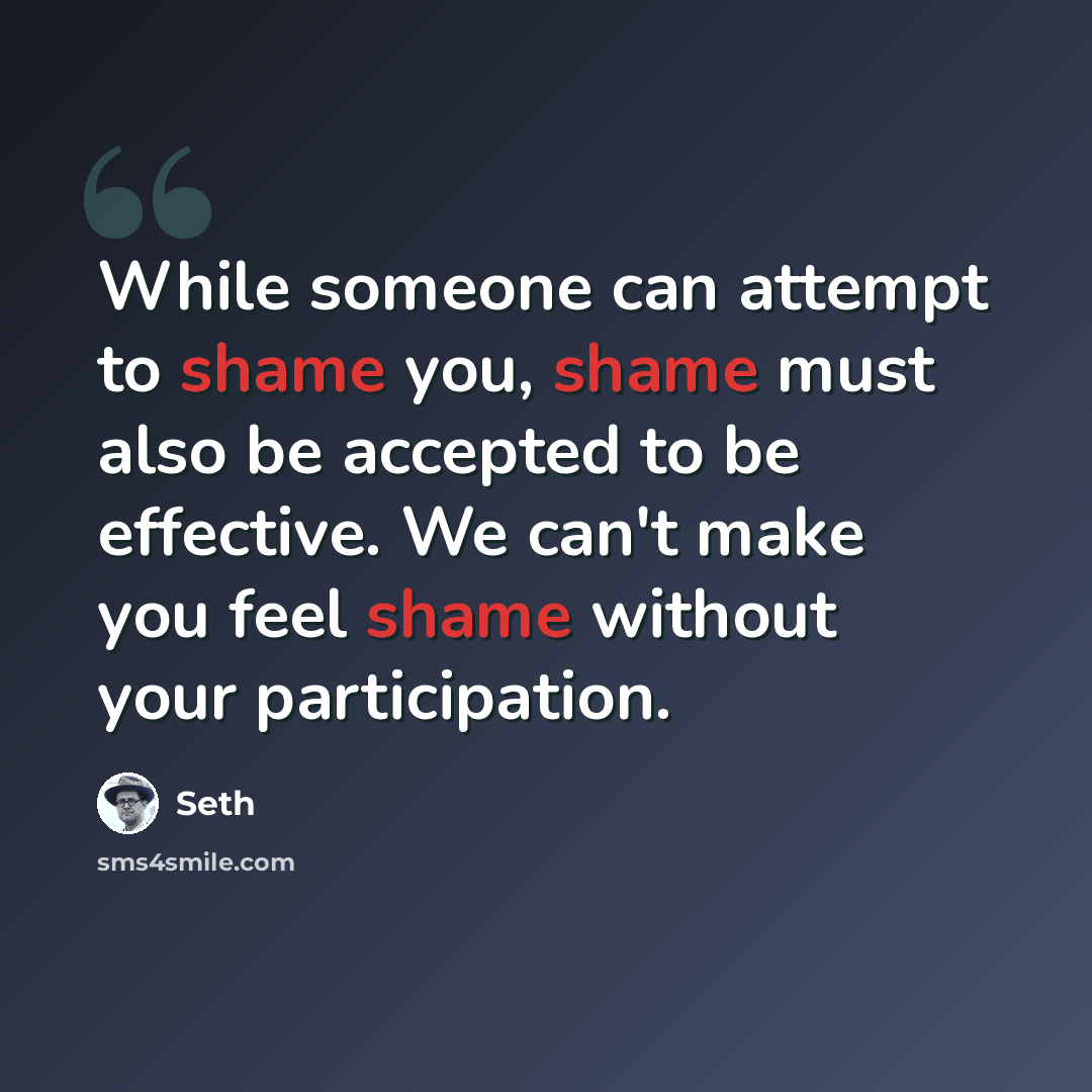 “While someone can attempt to shame you, shame must also be accepted to be effective. We can't make you feel shame without your participation.” quote by Seth