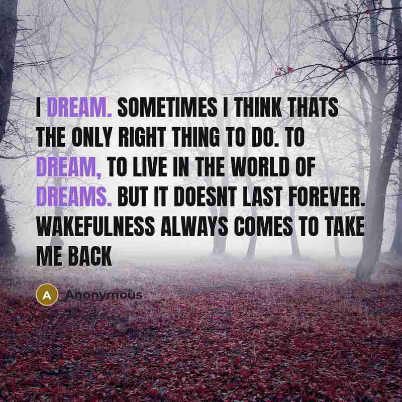 “I dream. Sometimes I think thats the only right thing to do. To dream, to live in the world of dreams. But it doesnt last forever. Wakefulness always comes to take me back” quote by Anonymous