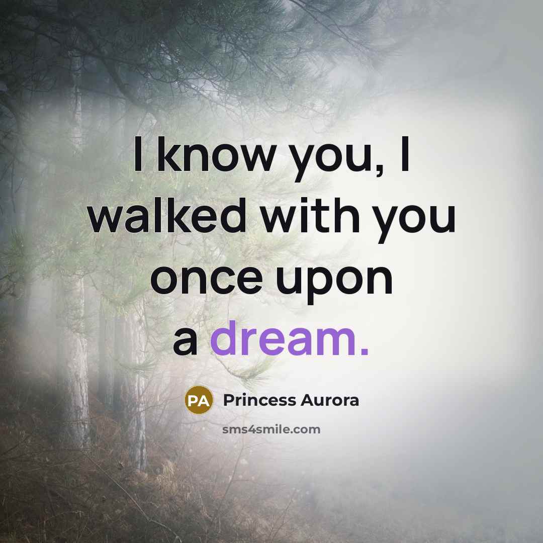 “I know you, I walked with you once upon a dream.” quote by Princess Aurora