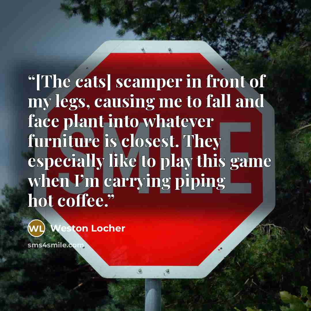 “[The cats] scamper in front of my legs, causing me to fall and face plant into whatever furniture is closest. They especially like to play this game when I’m carrying piping hot coffee.” quote by Weston Locher