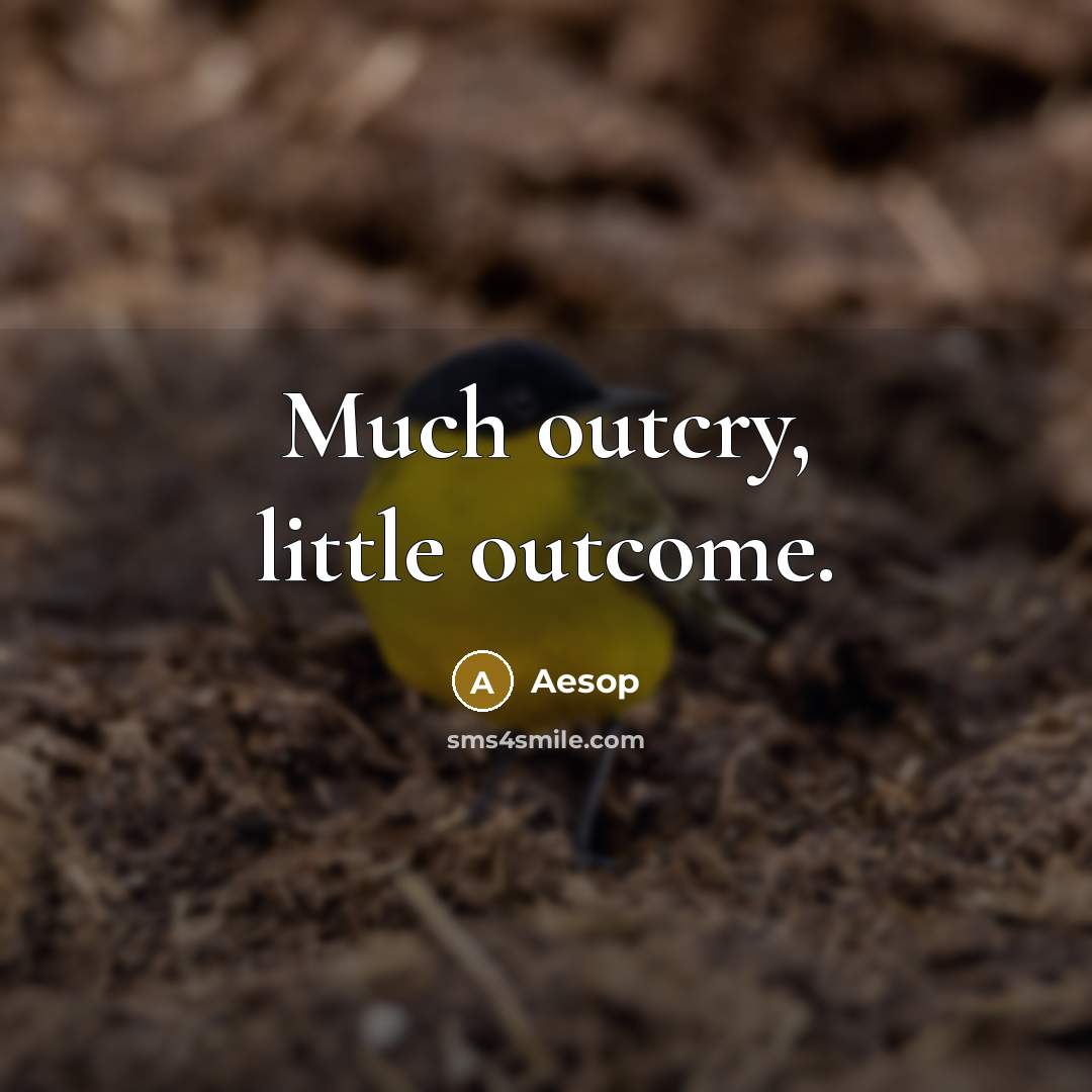 “Much outcry, little outcome.” quote by Aesop