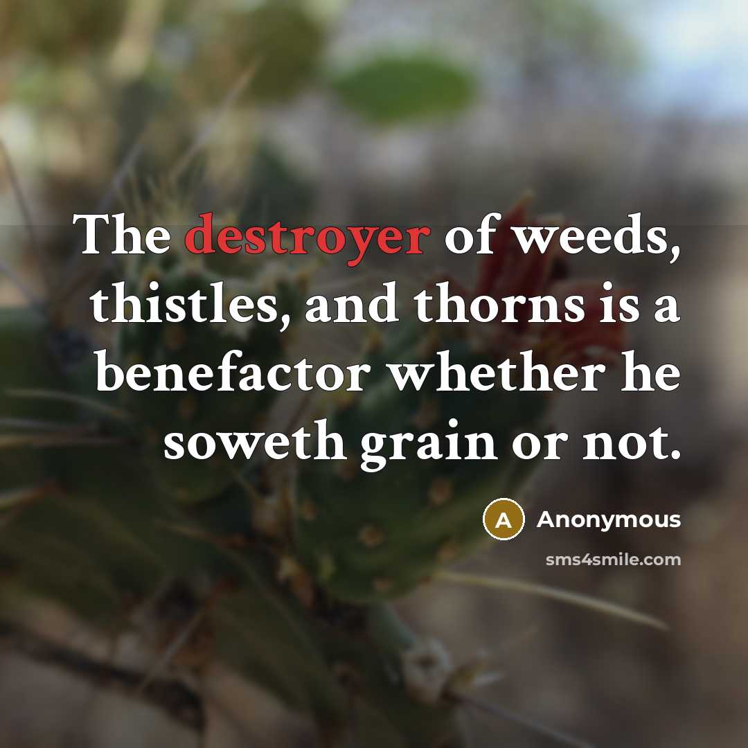 “The destroyer of weeds, thistles, and thorns is a benefactor whether he soweth grain or not.” quote by Anonymous
