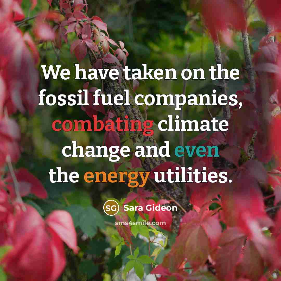 “We have taken on the fossil fuel companies, combating climate change and even the energy utilities.” quote by Sara Gideon