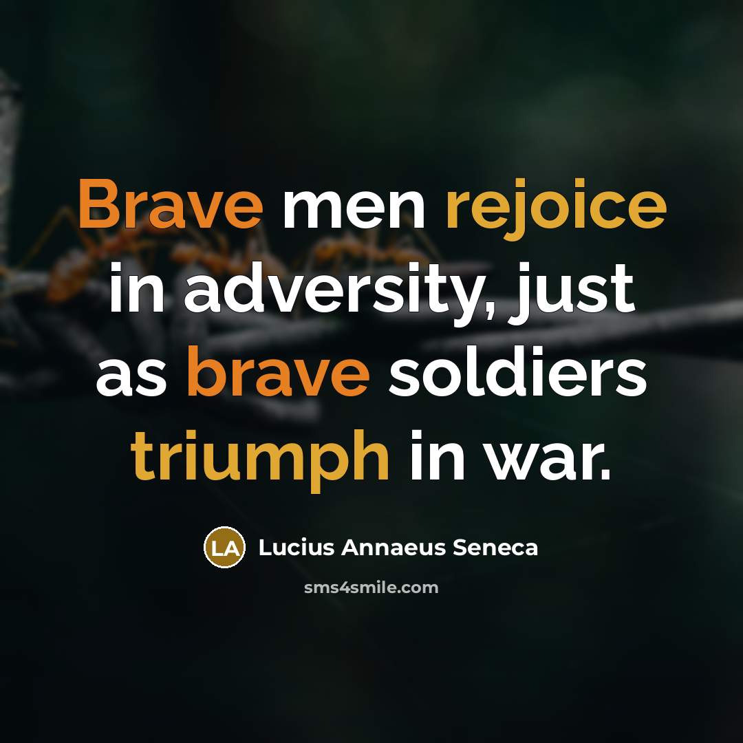 “Brave men rejoice in adversity, just as brave soldiers triumph in war.” quote by Lucius Annaeus Seneca