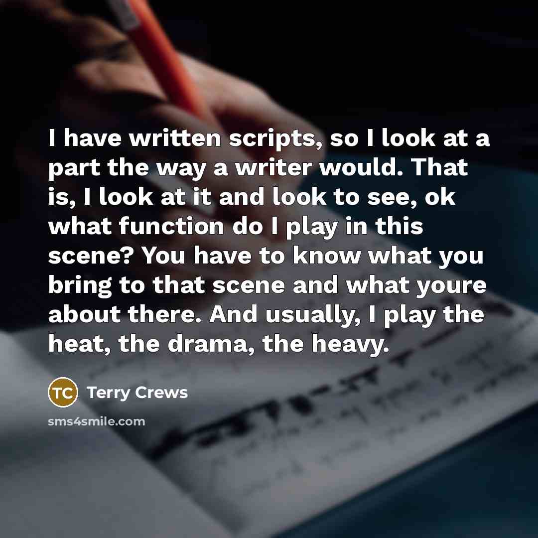 “I have written scripts, so I look at a part the way a writer would. That is, I look at it and look to see, ok what function do I play in this scene? You have to know what you bring to that scene and what youre about there. And usually, I play the heat, the drama, the heavy.” quote by Terry Crews