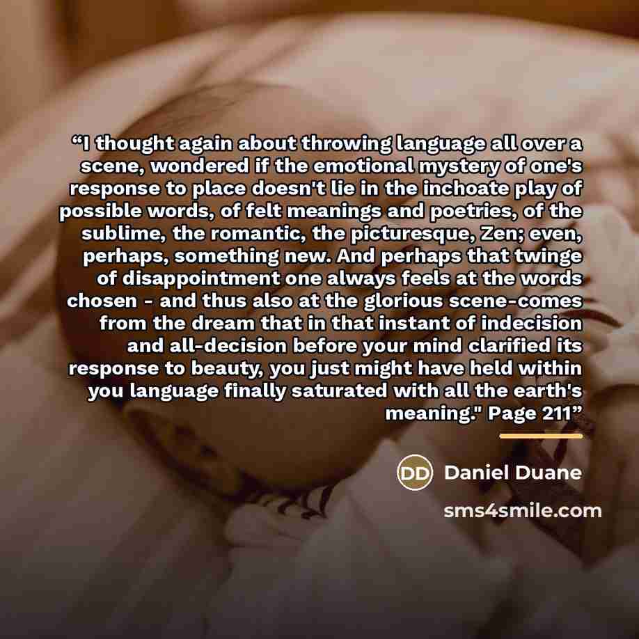 “I thought again about throwing language all over a scene, wondered if the emotional mystery of one's response to place doesn't lie in the inchoate play of possible words, of felt meanings and poetries, of the sublime, the romantic, the picturesque, Zen; even, perhaps, something new. And perhaps…” quote by Daniel Duane