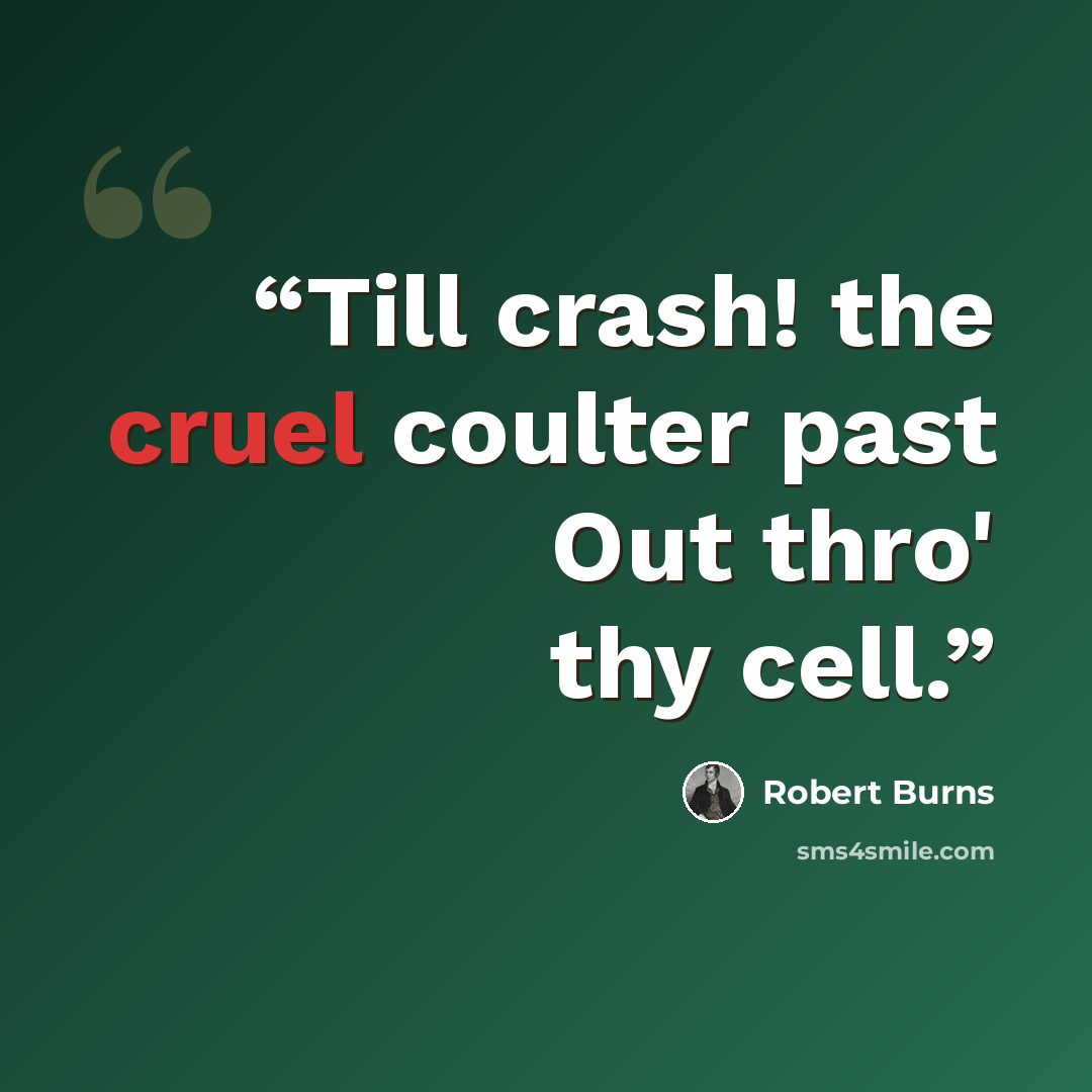 “Till crash! the cruel coulter past Out thro' thy cell.” quote by Robert Burns