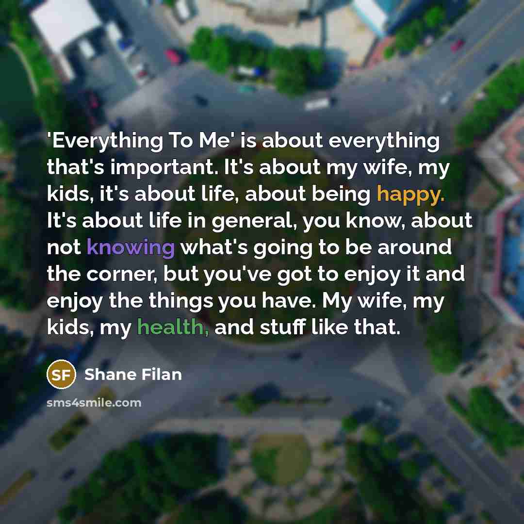 “'Everything To Me' is about everything that's important. It's about my wife, my kids, it's about life, about being happy. It's about life in general, you know, about not knowing what's going to be around the corner, but you've got to enjoy it and enjoy the things you have. My wife, my kids, my…” quote by Shane Filan